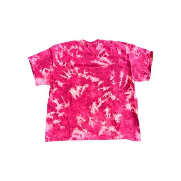 Vintage Sequioa & Kings Canyon Bleached Tee - Picture 2 of 4